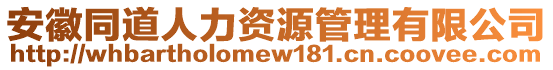 安徽同道人力資源管理有限公司