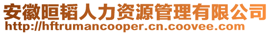 安徽晅韜人力資源管理有限公司