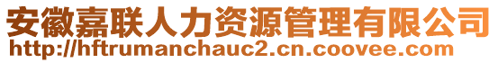 安徽嘉聯(lián)人力資源管理有限公司