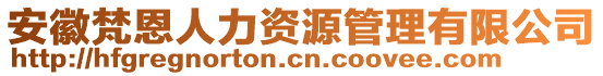 安徽梵恩人力資源管理有限公司