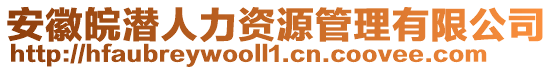 安徽皖潛人力資源管理有限公司