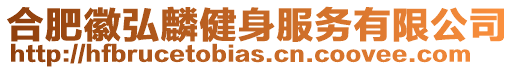 合肥徽弘麟健身服務(wù)有限公司