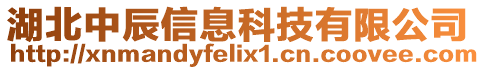 湖北中辰信息科技有限公司