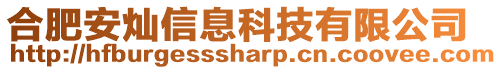 合肥安燦信息科技有限公司