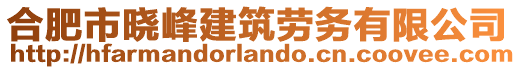 合肥市曉峰建筑勞務(wù)有限公司