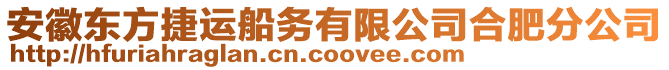 安徽東方捷運(yùn)船務(wù)有限公司合肥分公司