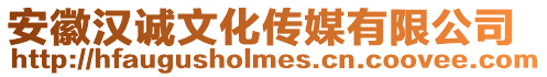 安徽漢誠文化傳媒有限公司