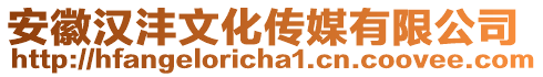 安徽漢灃文化傳媒有限公司