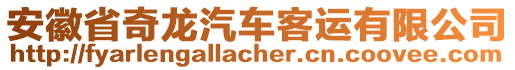 安徽省奇龍汽車客運(yùn)有限公司