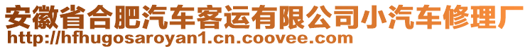 安徽省合肥汽車客運(yùn)有限公司小汽車修理廠