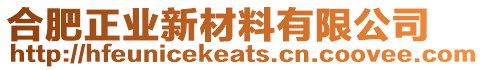 合肥正業(yè)新材料有限公司