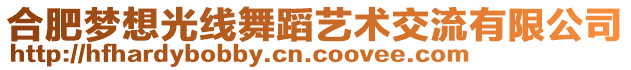 合肥夢想光線舞蹈藝術(shù)交流有限公司