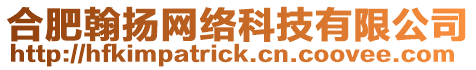 合肥翰揚網絡科技有限公司