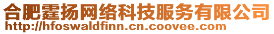 合肥霆揚網絡科技服務有限公司