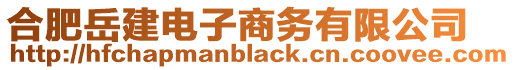 合肥岳建電子商務有限公司