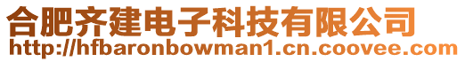 合肥齊建電子科技有限公司