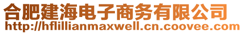 合肥建海電子商務有限公司