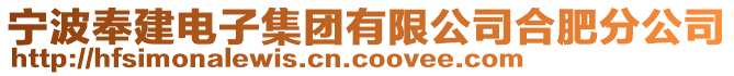寧波奉建電子集團有限公司合肥分公司