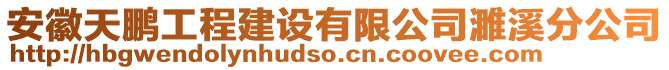 安徽天鵬工程建設(shè)有限公司濉溪分公司