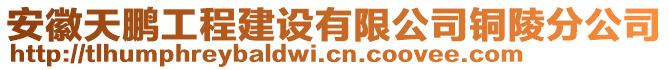 安徽天鹏工程建设有限公司铜陵分公司