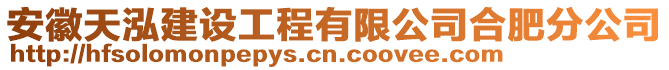 安徽天泓建設(shè)工程有限公司合肥分公司