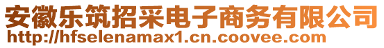 安徽樂筑招采電子商務(wù)有限公司