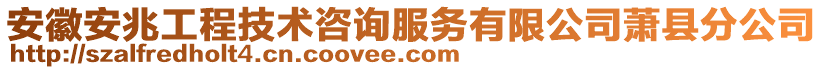 安徽安兆工程技術(shù)咨詢服務(wù)有限公司蕭縣分公司