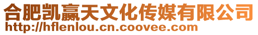 合肥凱贏天文化傳媒有限公司