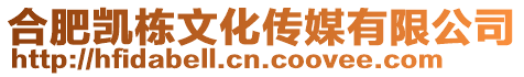 合肥凱棟文化傳媒有限公司