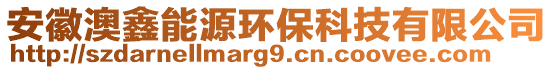 安徽澳鑫能源環保科技有限公司