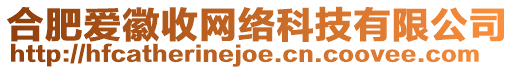 合肥愛(ài)徽收網(wǎng)絡(luò)科技有限公司