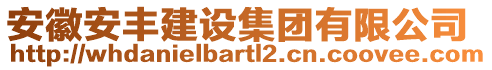 安徽安豐建設(shè)集團(tuán)有限公司