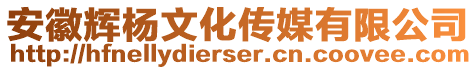 安徽輝楊文化傳媒有限公司