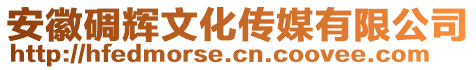 安徽碉輝文化傳媒有限公司