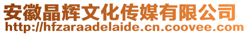 安徽晶輝文化傳媒有限公司