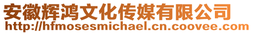 安徽輝鴻文化傳媒有限公司