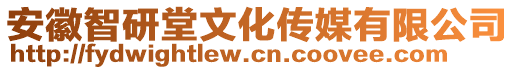 安徽智研堂文化傳媒有限公司