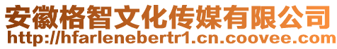 安徽格智文化傳媒有限公司