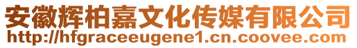 安徽輝柏嘉文化傳媒有限公司