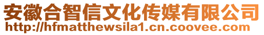 安徽合智信文化傳媒有限公司