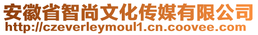 安徽省智尚文化傳媒有限公司