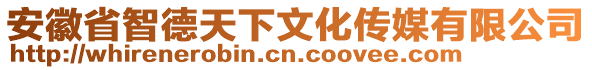 安徽省智德天下文化傳媒有限公司