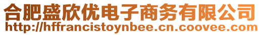 合肥盛欣優(yōu)電子商務(wù)有限公司