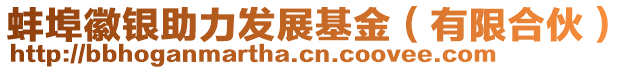 蚌埠徽銀助力發(fā)展基金（有限合伙）