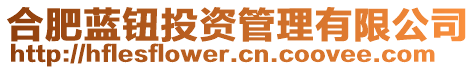 合肥藍(lán)鈕投資管理有限公司