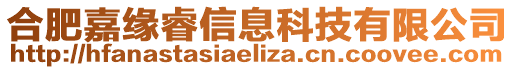 合肥嘉緣睿信息科技有限公司