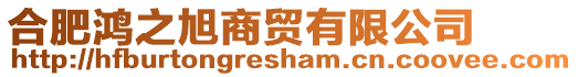 合肥鴻之旭商貿有限公司