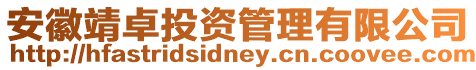 安徽靖卓投資管理有限公司