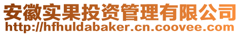安徽實果投資管理有限公司