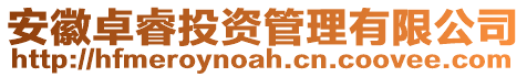 安徽卓睿投資管理有限公司